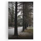 Rustic Winter Forest Wall Art | Farmhouse Nature Scene for Cozy Decor