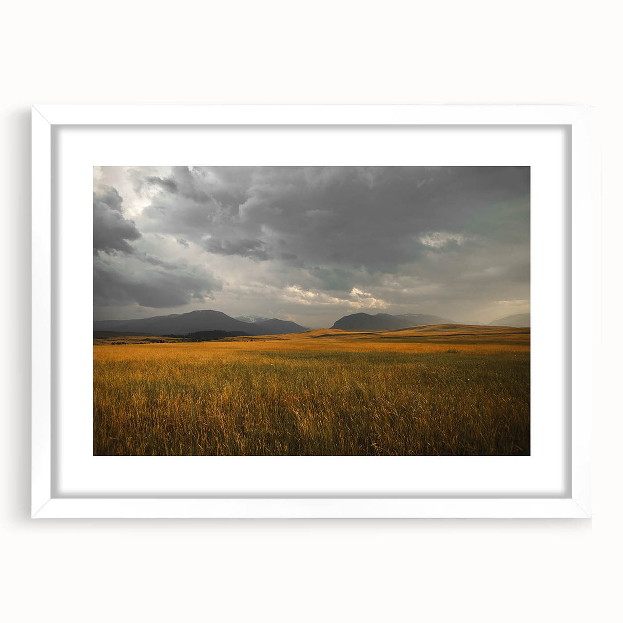 Golden Field Under Stormy Sky Wall Art | Rustic Farmhouse Decor | Nature Print