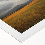 Golden Field Under Stormy Sky Wall Art | Rustic Farmhouse Decor | Nature Print