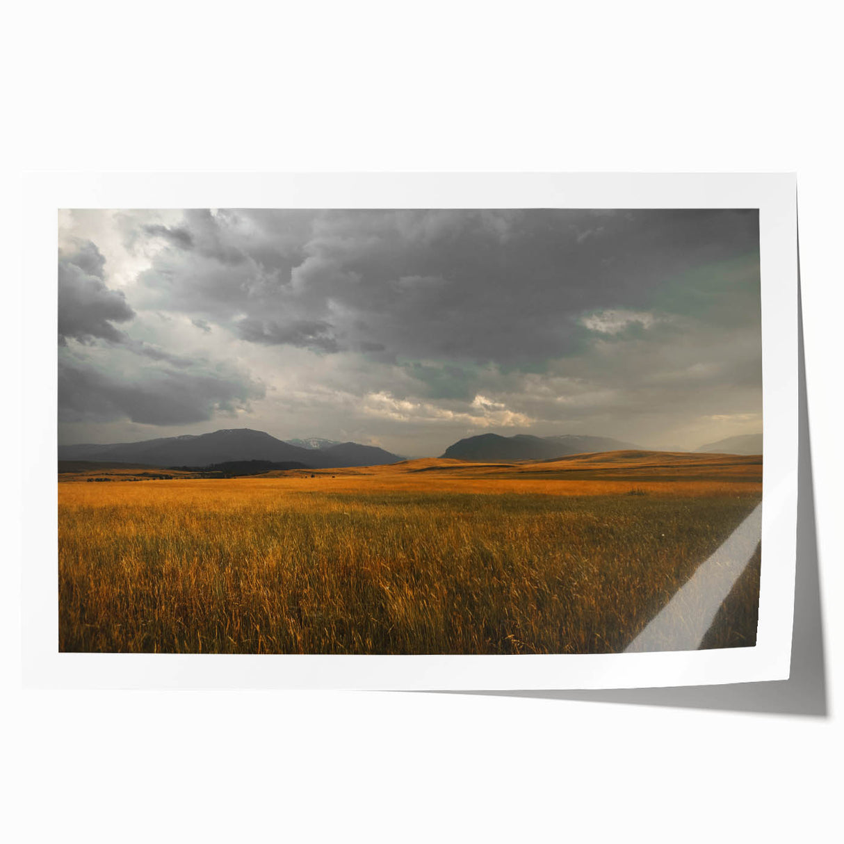 Golden Field Under Stormy Sky Wall Art | Rustic Farmhouse Decor | Nature Print