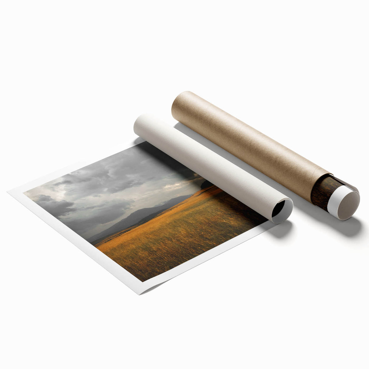 Golden Field Under Stormy Sky Wall Art | Rustic Farmhouse Decor | Nature Print