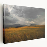 Golden Field Under Stormy Sky Wall Art | Rustic Farmhouse Decor | Nature Print