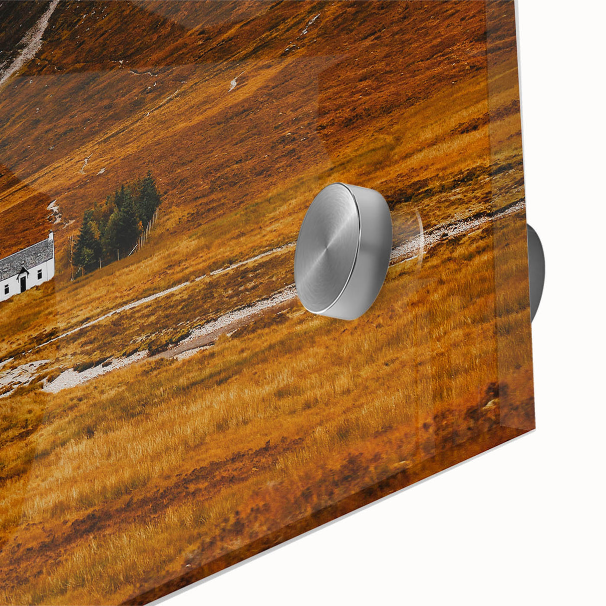 Solitary House in Golden Valley Wall Art | Rustic Farmhouse Decor | Nature Print
