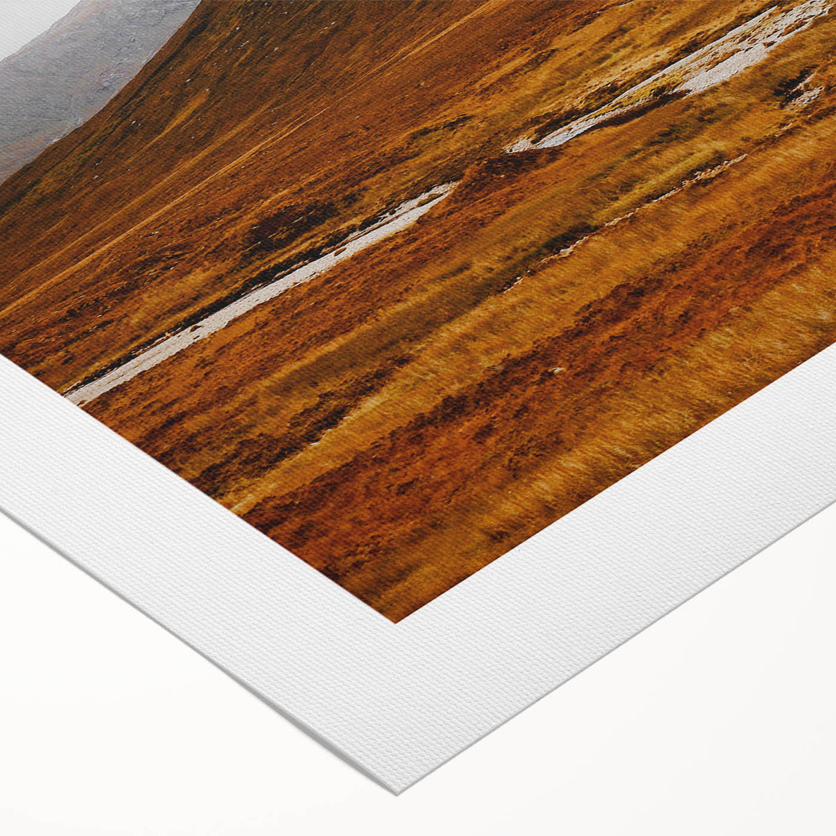 Solitary House in Golden Valley Wall Art | Rustic Farmhouse Decor | Nature Print
