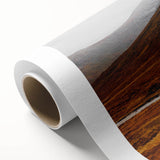 Solitary House in Golden Valley Wall Art | Rustic Farmhouse Decor | Nature Print