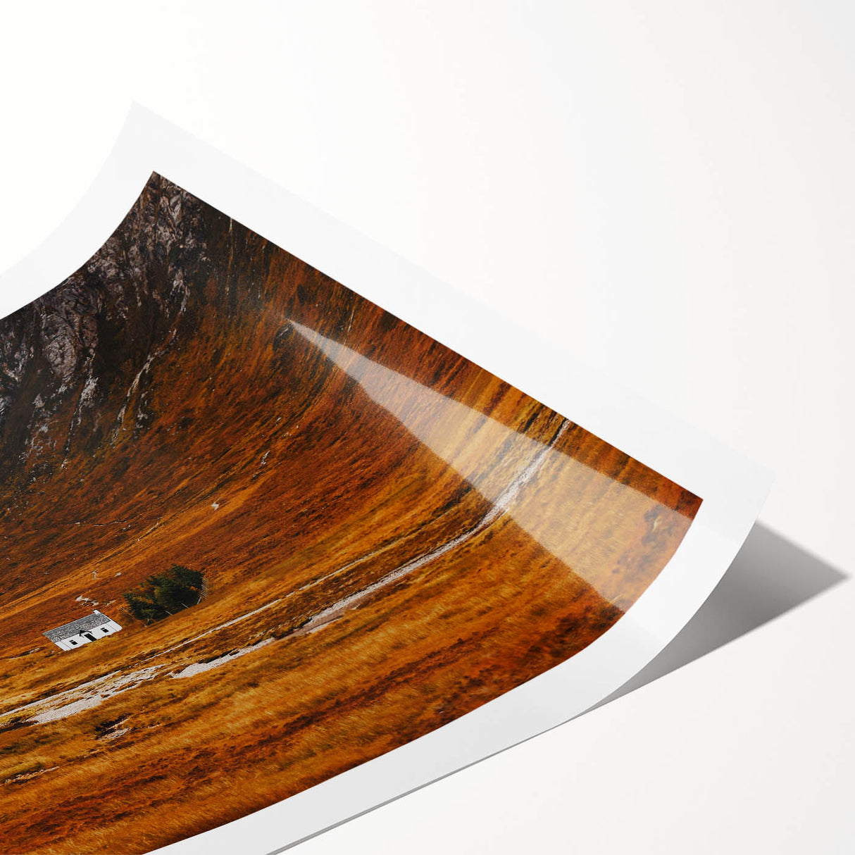 Solitary House in Golden Valley Wall Art | Rustic Farmhouse Decor | Nature Print