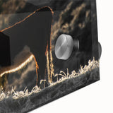 Lone Cow at Dusk Wall Art | Rustic Farmhouse Animal Decor | Nature Print