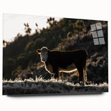Lone Cow at Dusk Wall Art | Rustic Farmhouse Animal Decor | Nature Print
