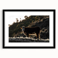 Lone Cow at Dusk Wall Art | Rustic Farmhouse Animal Decor | Nature Print