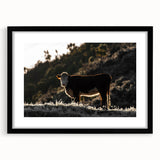Lone Cow at Dusk Wall Art | Rustic Farmhouse Animal Decor | Nature Print
