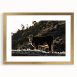 Lone Cow at Dusk Wall Art | Rustic Farmhouse Animal Decor | Nature Print