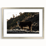 Lone Cow at Dusk Wall Art | Rustic Farmhouse Animal Decor | Nature Print