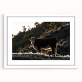Lone Cow at Dusk Wall Art | Rustic Farmhouse Animal Decor | Nature Print