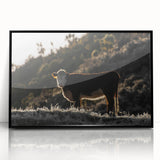 Lone Cow at Dusk Wall Art | Rustic Farmhouse Animal Decor | Nature Print