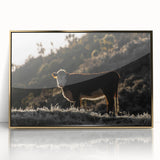 Lone Cow at Dusk Wall Art | Rustic Farmhouse Animal Decor | Nature Print