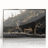 Lone Cow at Dusk Wall Art | Rustic Farmhouse Animal Decor | Nature Print