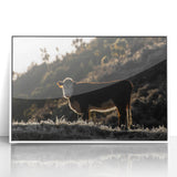Lone Cow at Dusk Wall Art | Rustic Farmhouse Animal Decor | Nature Print