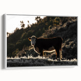 Lone Cow at Dusk Wall Art | Rustic Farmhouse Animal Decor | Nature Print