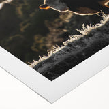 Lone Cow at Dusk Wall Art | Rustic Farmhouse Animal Decor | Nature Print