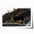 Lone Cow at Dusk Wall Art | Rustic Farmhouse Animal Decor | Nature Print