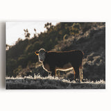 Lone Cow at Dusk Wall Art | Rustic Farmhouse Animal Decor | Nature Print