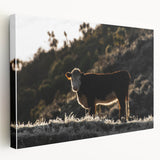 Lone Cow at Dusk Wall Art | Rustic Farmhouse Animal Decor | Nature Print