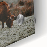 Rustic Wall Art of Highland Cow in Scenic Landscape | Farmhouse Decor