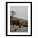 Rustic Wall Art of Highland Cow in Scenic Landscape | Farmhouse Decor
