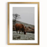 Rustic Wall Art of Highland Cow in Scenic Landscape | Farmhouse Decor