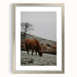 Rustic Wall Art of Highland Cow in Scenic Landscape | Farmhouse Decor