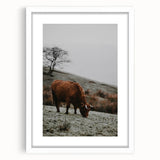 Rustic Wall Art of Highland Cow in Scenic Landscape | Farmhouse Decor