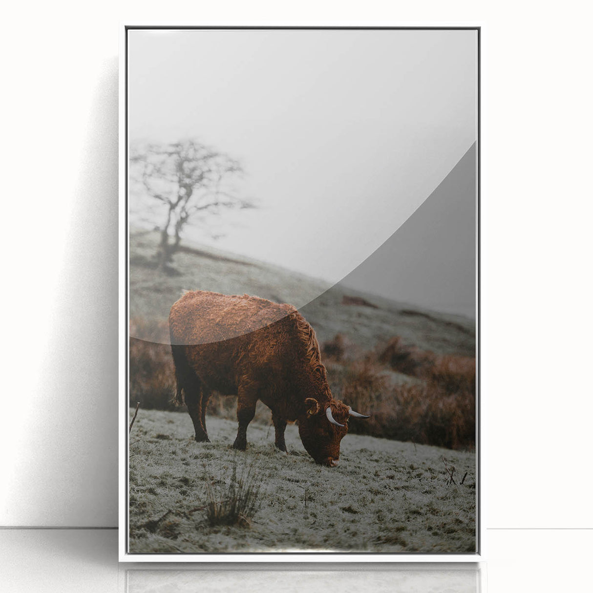 Rustic Wall Art of Highland Cow in Scenic Landscape | Farmhouse Decor