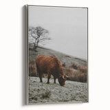 Rustic Wall Art of Highland Cow in Scenic Landscape | Farmhouse Decor