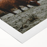 Rustic Wall Art of Highland Cow in Scenic Landscape | Farmhouse Decor