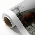Rustic Wall Art of Highland Cow in Scenic Landscape | Farmhouse Decor