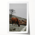 Rustic Wall Art of Highland Cow in Scenic Landscape | Farmhouse Decor