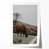 Rustic Wall Art of Highland Cow in Scenic Landscape | Farmhouse Decor
