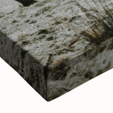 Rustic Wall Art of Highland Cow in Scenic Landscape | Farmhouse Decor