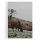 Rustic Wall Art of Highland Cow in Scenic Landscape | Farmhouse Decor