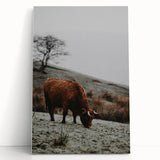 Rustic Wall Art of Highland Cow in Scenic Landscape | Farmhouse Decor