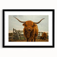 Highland Cow Rustic Wall Art - Farmhouse Decor for Cozy Country Homes