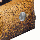 Golden Wheat Field Rustic Wall Art - Farmhouse Nature Decor for Homes