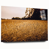 Golden Wheat Field Rustic Wall Art - Farmhouse Nature Decor for Homes