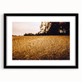Golden Wheat Field Rustic Wall Art - Farmhouse Nature Decor for Homes