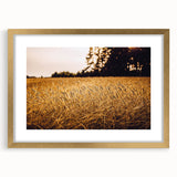 Golden Wheat Field Rustic Wall Art - Farmhouse Nature Decor for Homes