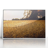 Golden Wheat Field Rustic Wall Art - Farmhouse Nature Decor for Homes