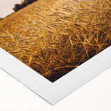 Golden Wheat Field Rustic Wall Art - Farmhouse Nature Decor for Homes