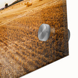Golden Hay Bales Rustic Wall Art - Farmhouse Country Landscape Decor