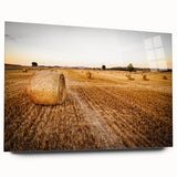 Golden Hay Bales Rustic Wall Art - Farmhouse Country Landscape Decor