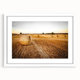 Golden Hay Bales Rustic Wall Art - Farmhouse Country Landscape Decor